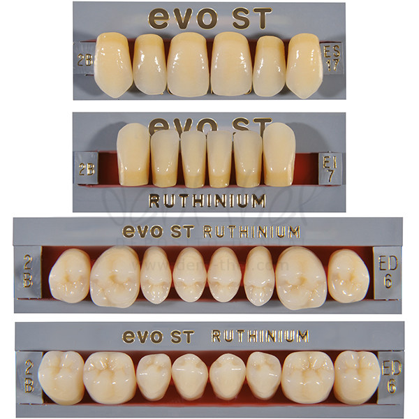 Diente EVO 2 ST 2 capas - dent-thel.com Depósito dental