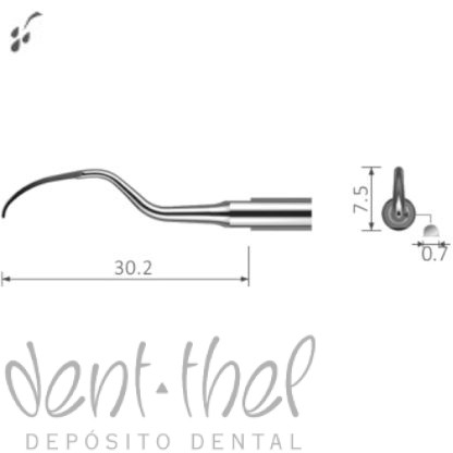 SAT Punta periodontal anteriores sH3