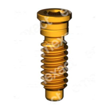 Tornillo M2 - 1,20 - HE Short Head GoldGrip®