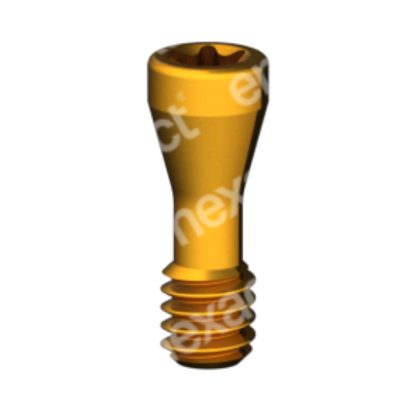 Tornillo Basal M2 - Torx 6 - Str RN/WN GoldGrip®