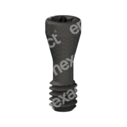 Tornillo Basal M2 - Torx 6 - Str RN/WN HardGrip®