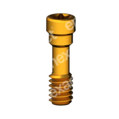 Tornillo Largo M2 - Torx 6 - Str RN/WN GoldGrip®