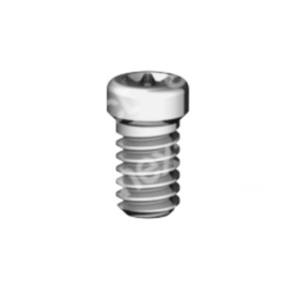 Tornillo M2 - Torx 6 - Str RN/WN