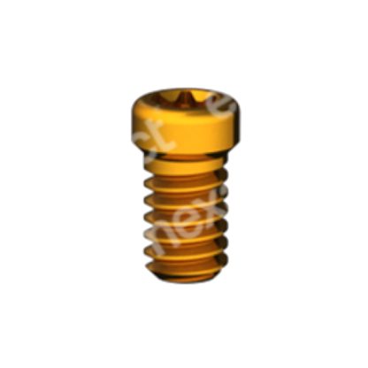 Tornillo M2 - Torx 6 - Str RN/WN GoldGrip®