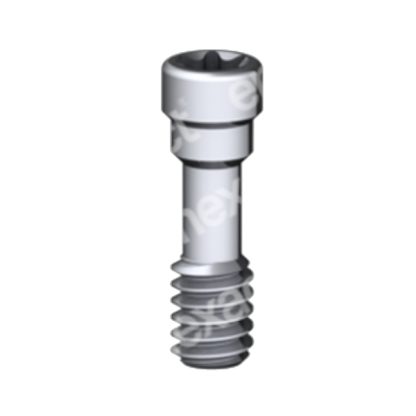 Tornillo largo M2 - Torx 6 - Str RN/WN