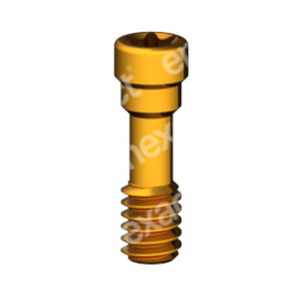 Tornillo Largo M2 - Torx 6 - Str RN/WN GoldGrip®