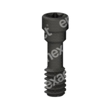 Tornillo Largo M2 - Torx 6 - Str RN/WN HardGrip®