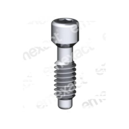 Tornillo M2 - 1,25 - HE