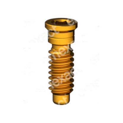 Tornillo M2 - 1,20 - HE Short Head GoldGrip®