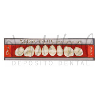 DIENTES POSTERIORES SUPERIORES Acry Plus Color IVOCLAR