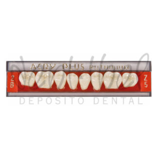 DIENTES POSTERIORES INFERIORES Acry Plus Color IVOCLAR