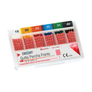 EndoArt Gutta Percha 04 nº 15-40 - 60pz